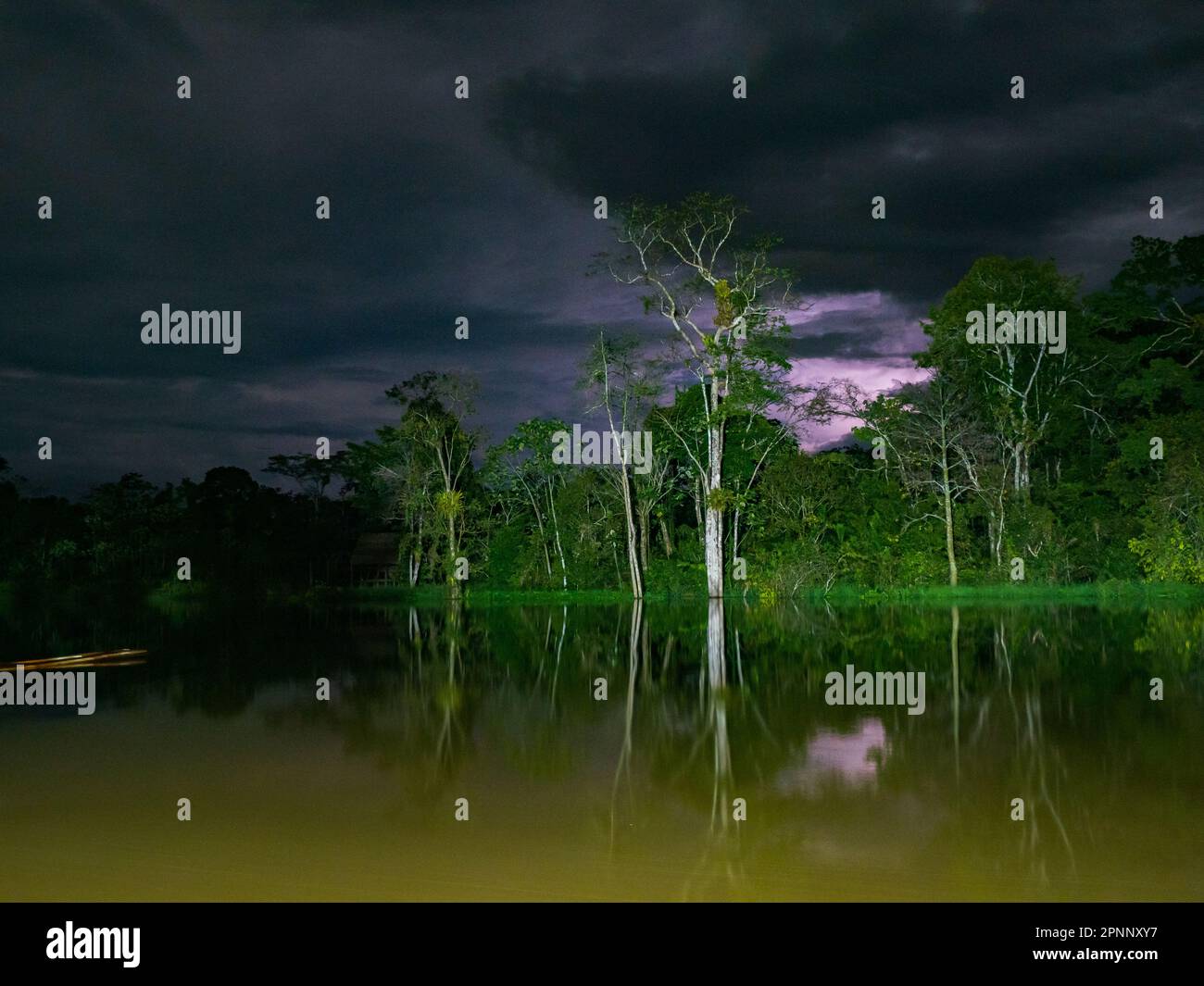 Amazon rainforest by night in the stormy weather, Amazonia. Peru, South