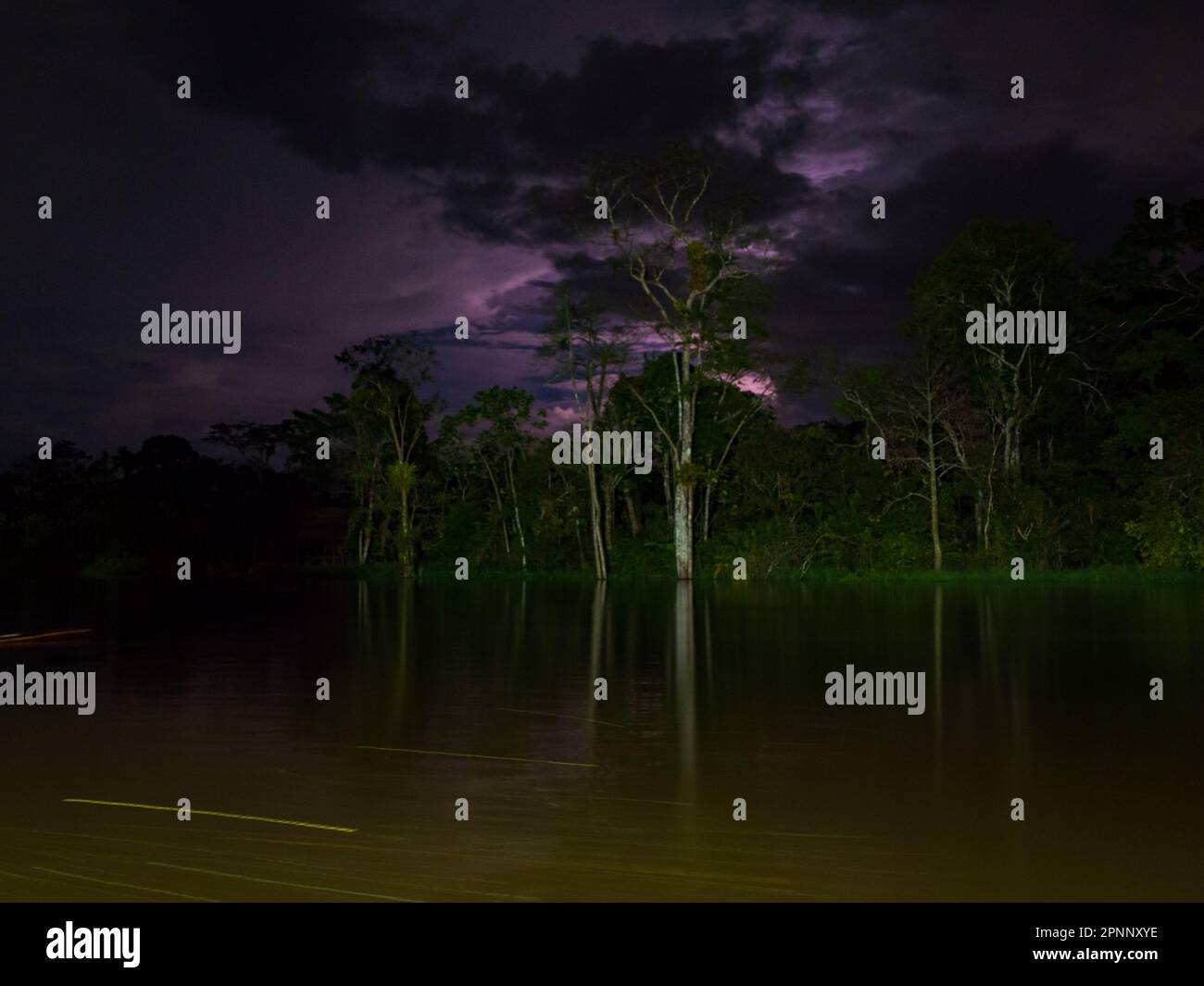 Amazon rainforest by night in the stormy weather, Amazonia. Peru, South
