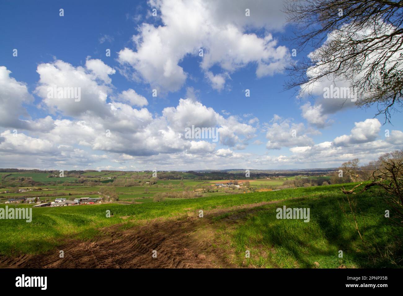 Typical countryside of Devon with green fields, gentle hills with ...