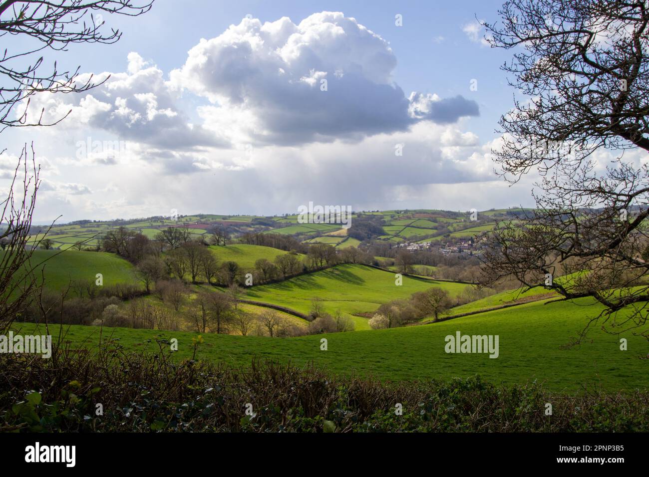 Typical countryside of Devon with green fields, gentle hills with ...