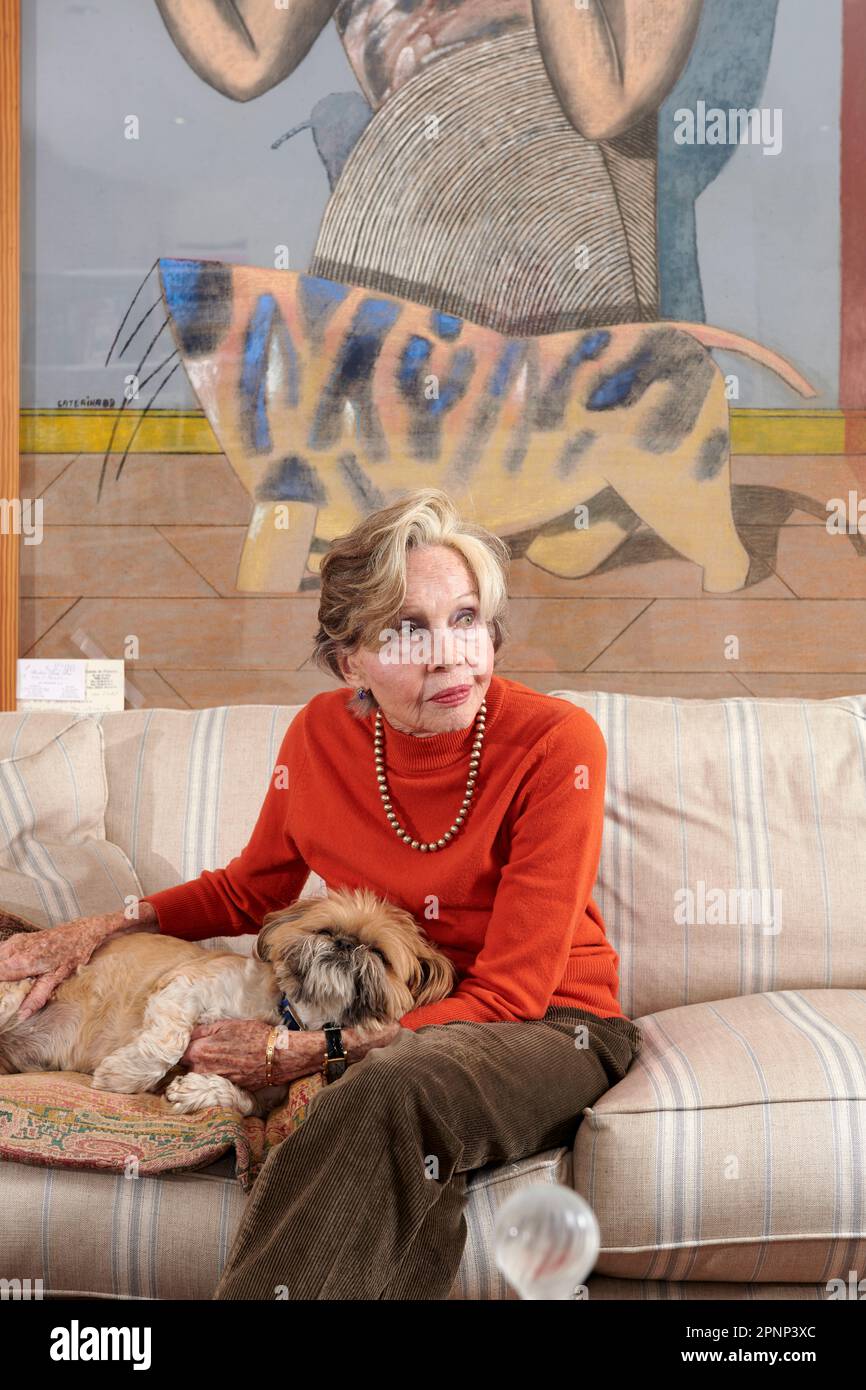 Portrait of Leslie Caron to celebrate her 90th birthday Stock Photo - Alamy