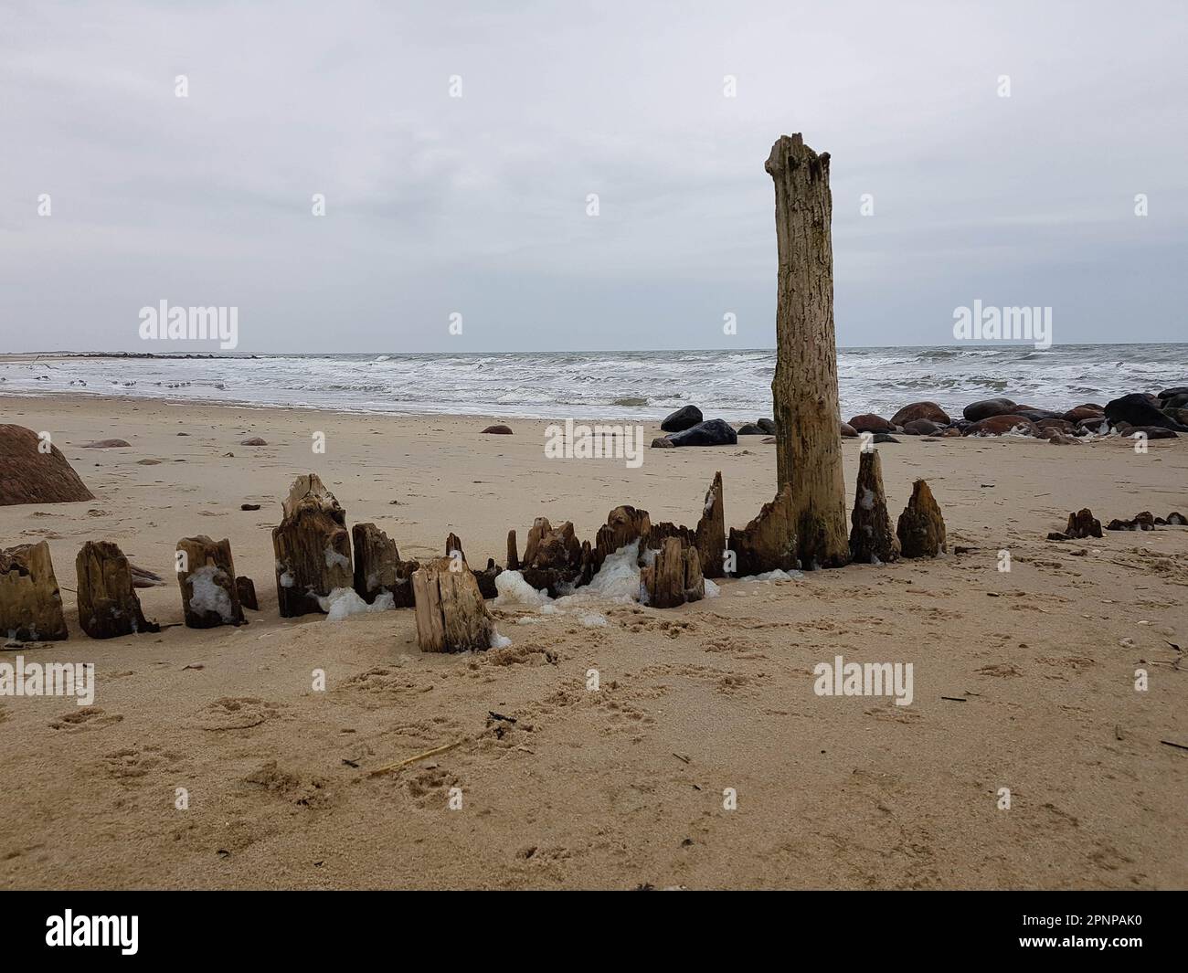 the endless beach at the northern sea Hvidbjerg Stranden Blavand ...