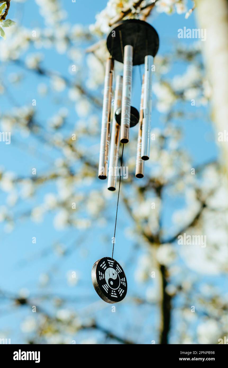Wind chime with zen symbolism hanging on tree in blossom Stock Photo