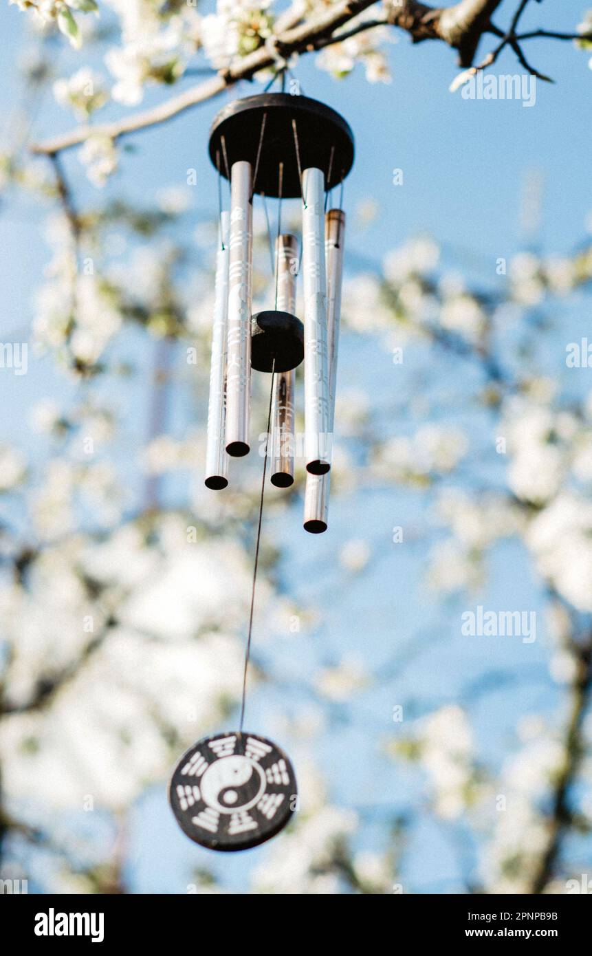 Wind chime with zen symbolism hanging on tree in blossom with bokeh