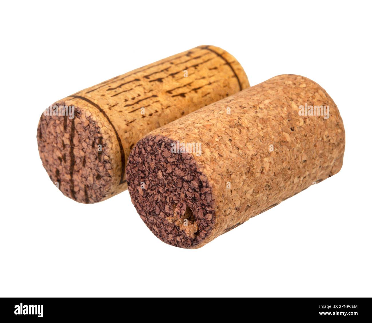 Cork tree Cut Out Stock Images & Pictures - Alamy