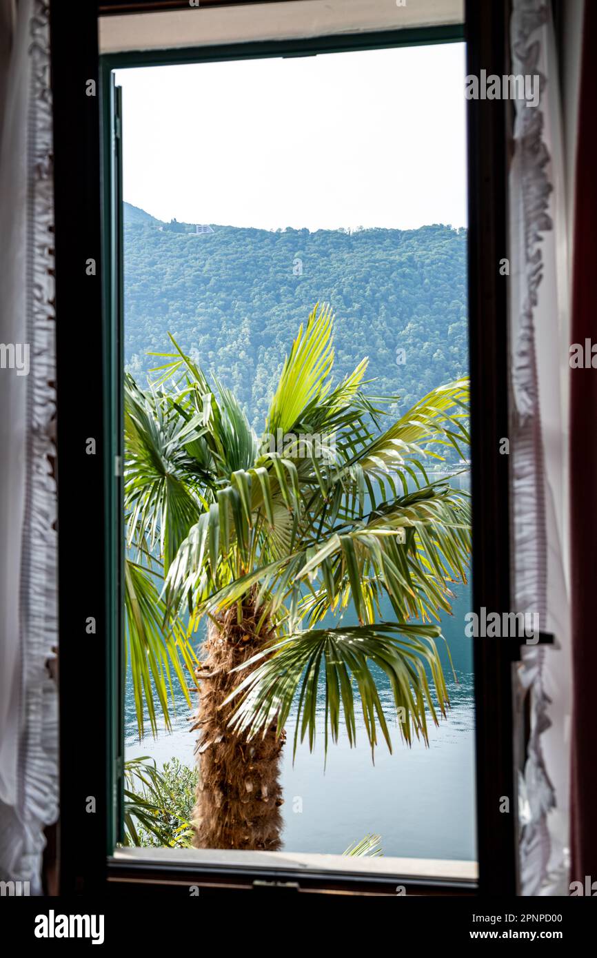 Morcote, Ticino, Switzerland - May 21, 2022 a palm through the window beautiful Morcote Stock Photo