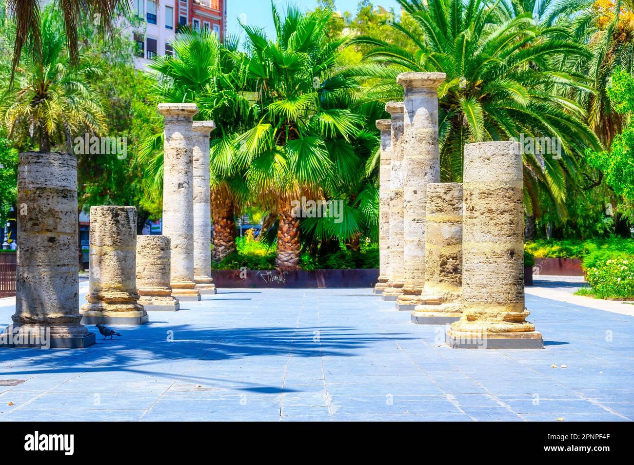 Valencia, Spain - July 17, 2023: The Garden of the Old Hospital, a tourist attraction. Stock Photo