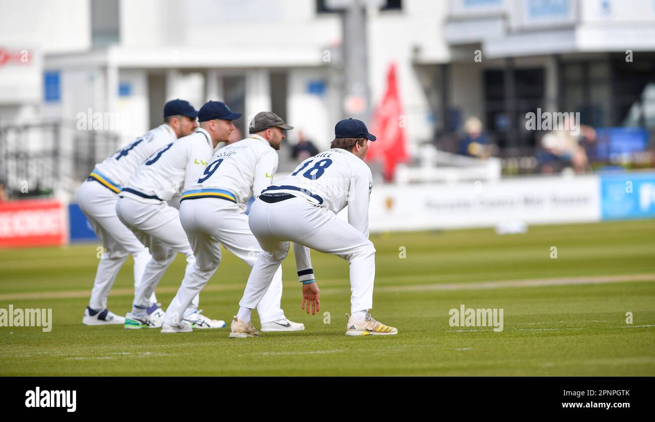 Hove UK 20th April 2023 -  It's chilly in the slips for Yorkshire against Sussex during the LV= Insurance County Championship cricket match at the 1st Central County Ground in Hove : Credit Simon Dack /TPI/ Alamy Live News Stock Photo