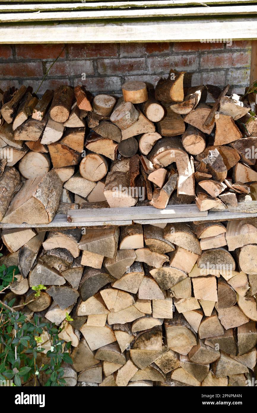 Log Bunker made from Wooden Pallets. Stock Photo