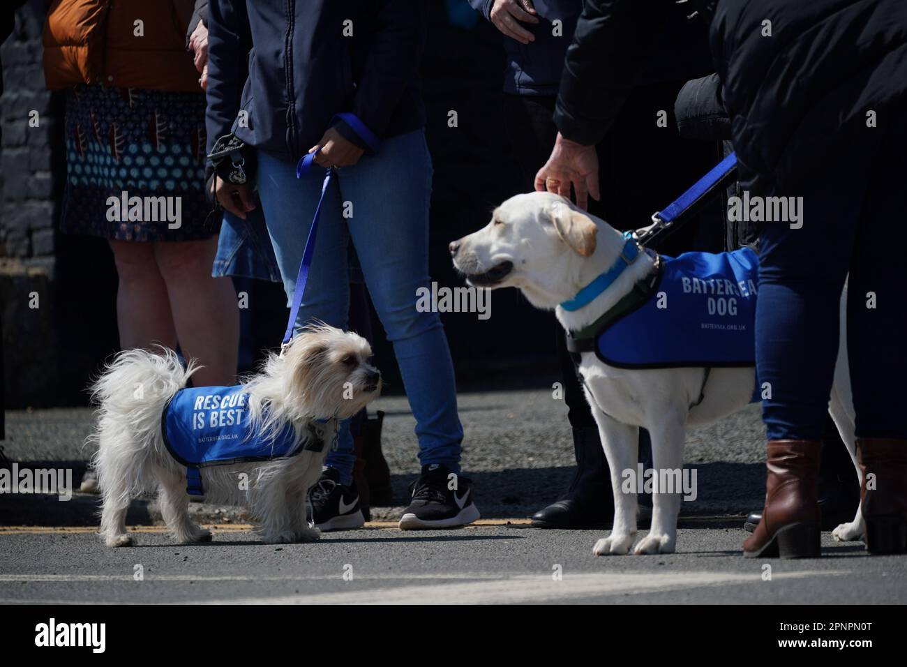 Paul ogradys funeral hires stock photography and images Alamy