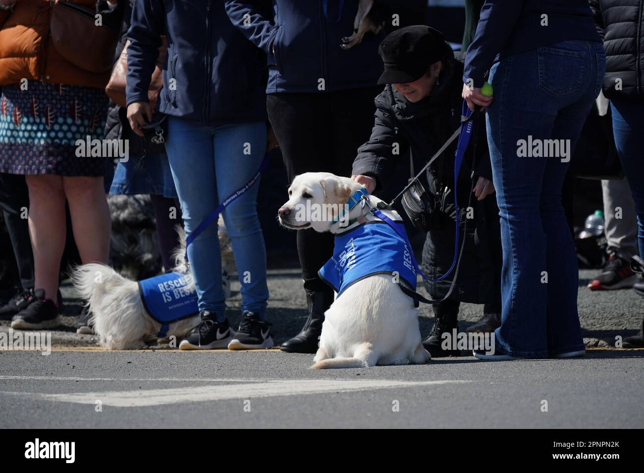 Paul ogradys funeral hires stock photography and images Alamy