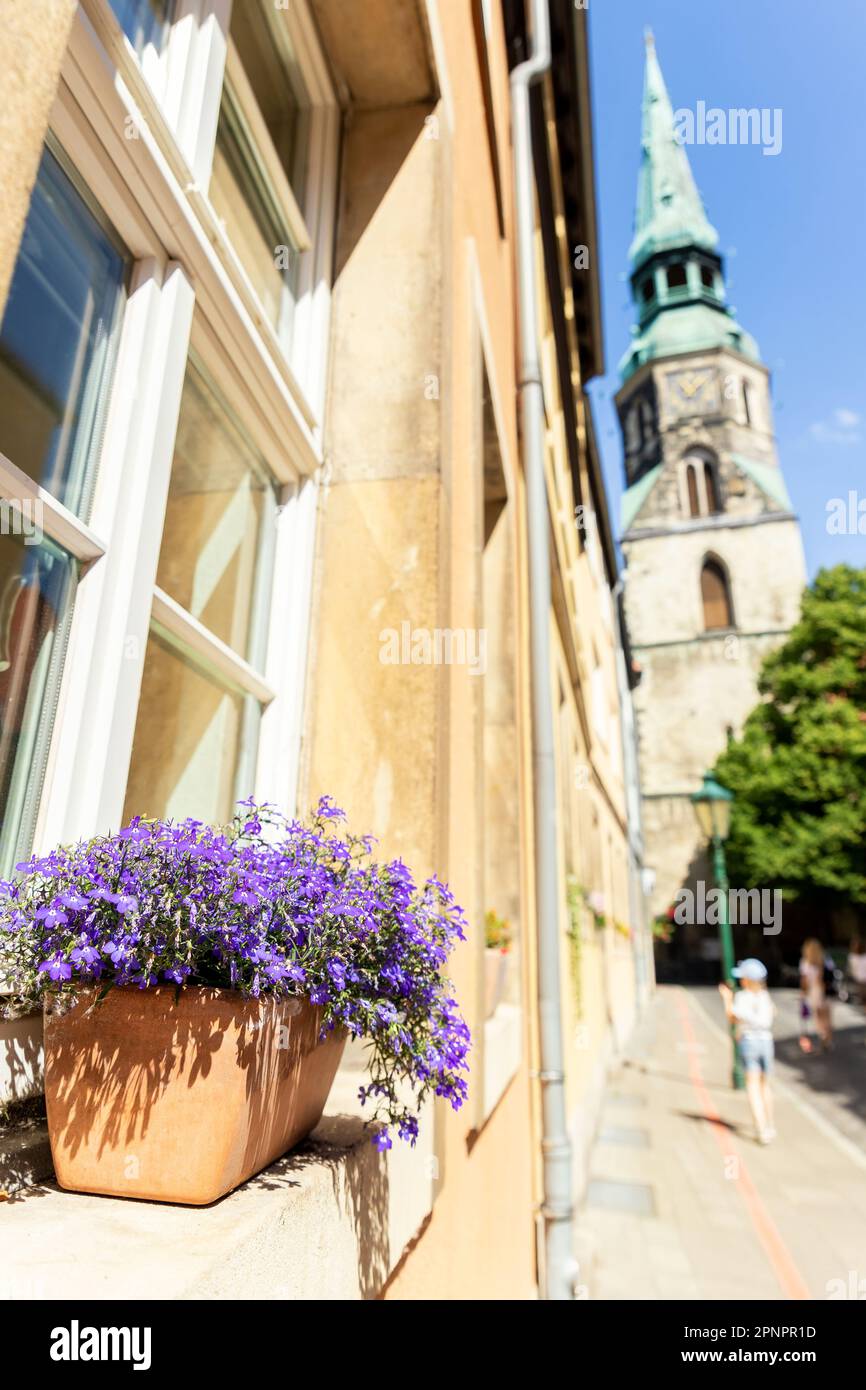 Flower pot on window Hannover old city center street protestant gothic style Church Holy Cross ancient building house. Lower Saxony traditional german Stock Photo