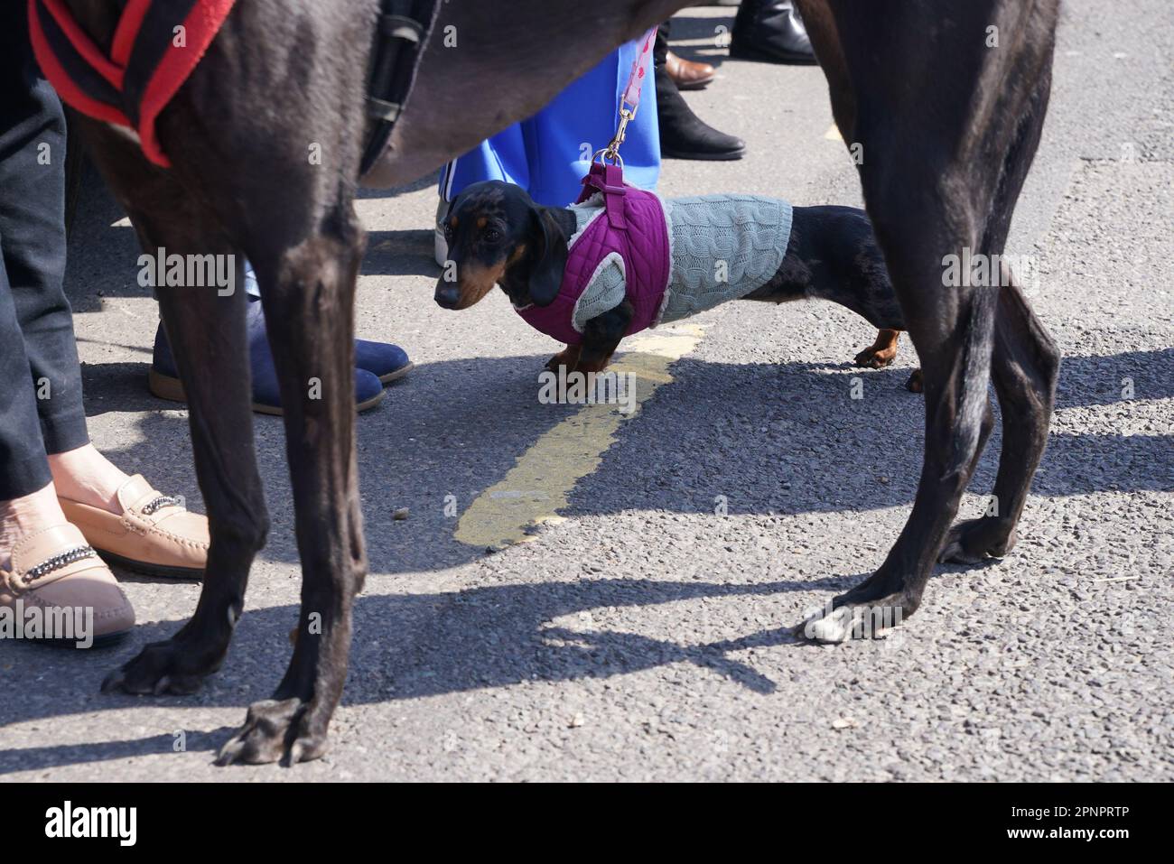 Paul ogradys funeral hires stock photography and images Alamy
