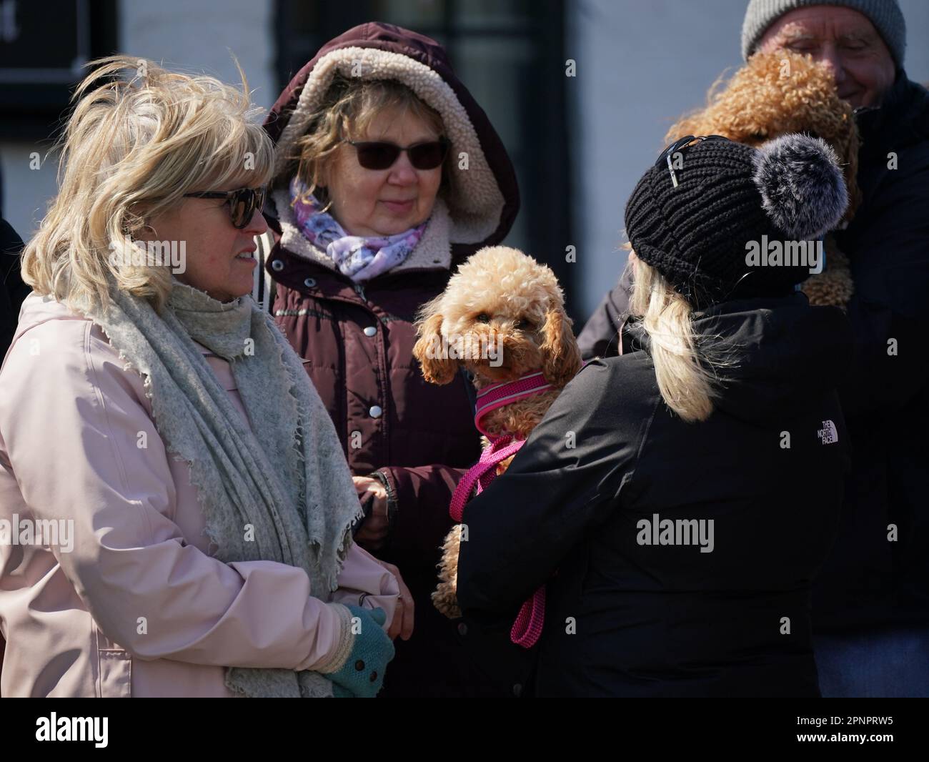 paul-o-grady-tree-hi-res-stock-photography-and-images-alamy