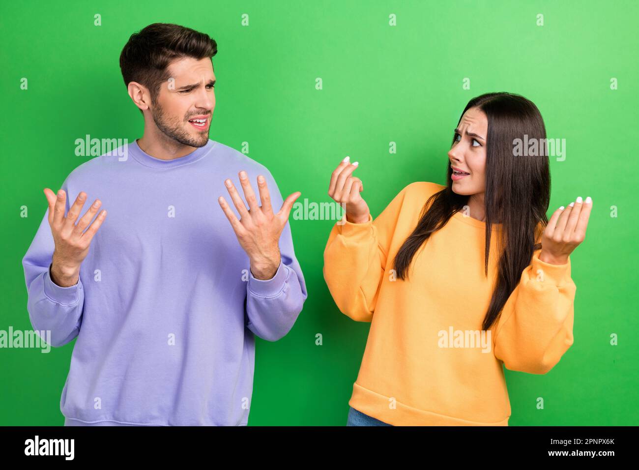 Portrait of two unsatisfied angry partners talk fight misunderstanding ...