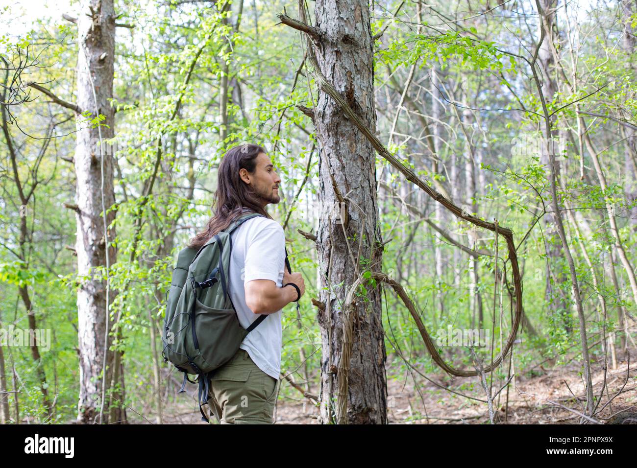 Man of the forest hi-res stock photography and images - Alamy