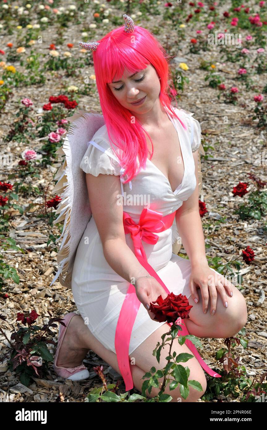 attractive woman  in demon costume relaxing among the roses plantation at summer day Stock Photo