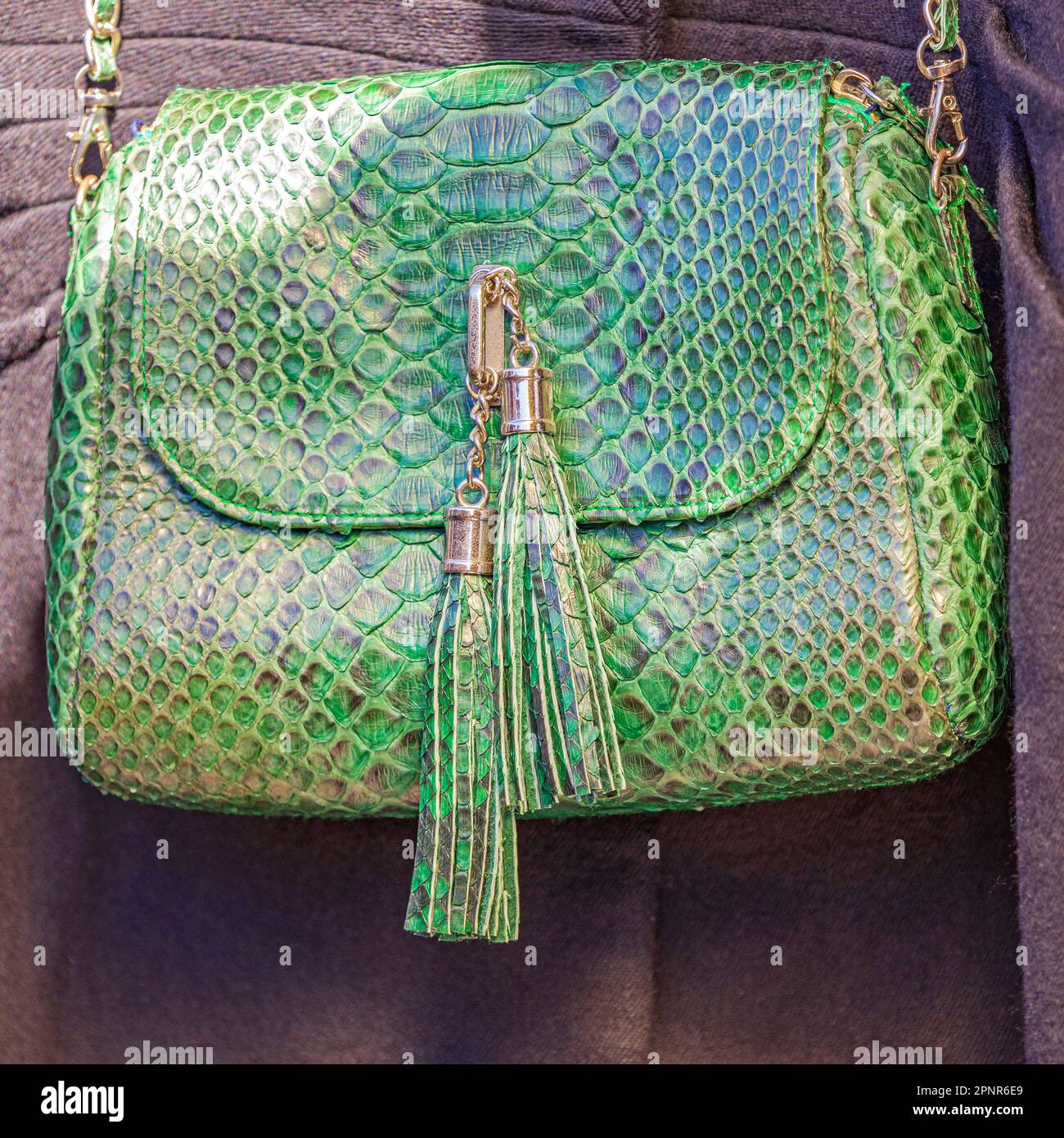 Crocodile leather bag hi-res stock photography and images - Alamy