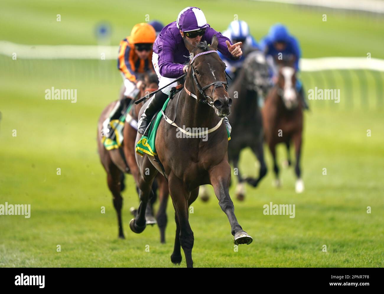 Indestructible horse hi-res stock photography and images - Alamy