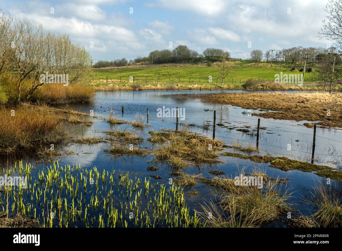 West Pennine Moors at Bull Hill, Darwen, Lancashire Stock Photo Alamy