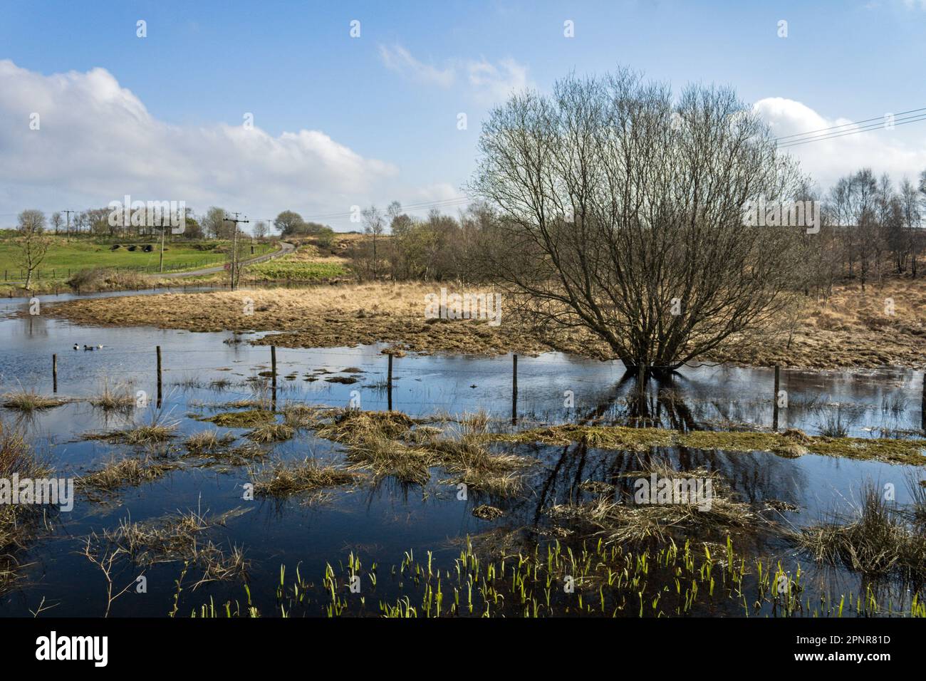 West Pennine Moors at Bull Hill, Darwen, Lancashire Stock Photo Alamy