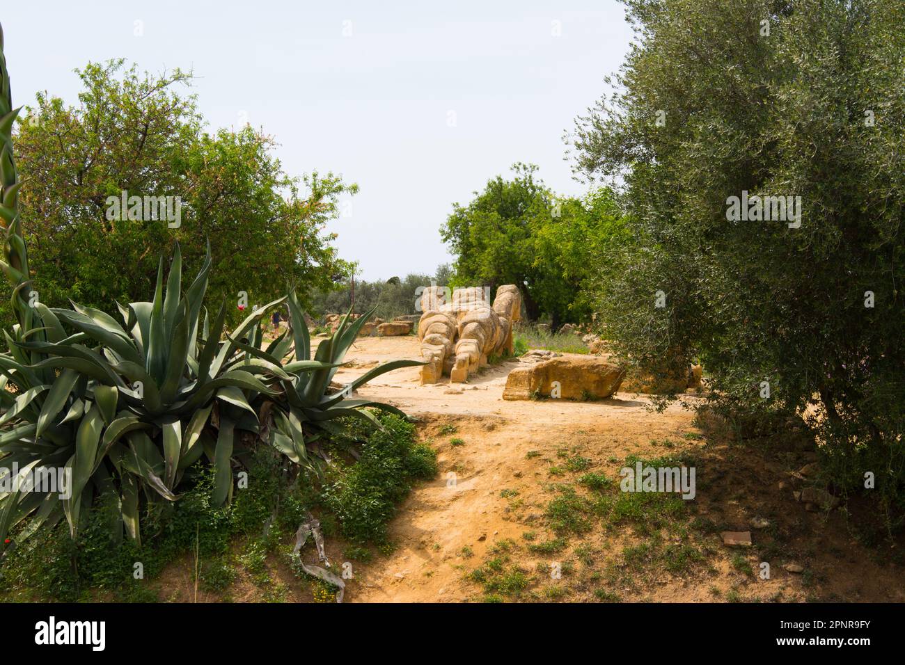 Agrigento is the Italian Capital of Culture 2025. Statue of Atlas in the Temple of Olympian Zeus 
