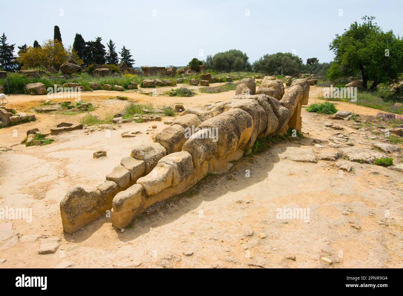 Agrigento is the Italian Capital of Culture 2025. Statue of Atlas in the Temple of Olympian Zeus 
