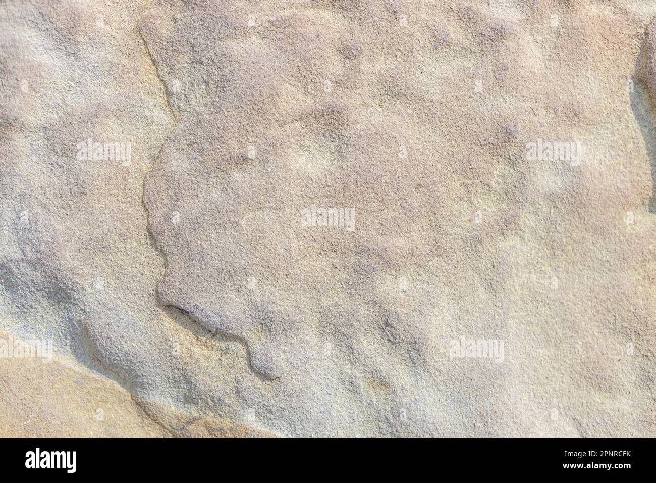 Background natural texture sea stone Stock Photo