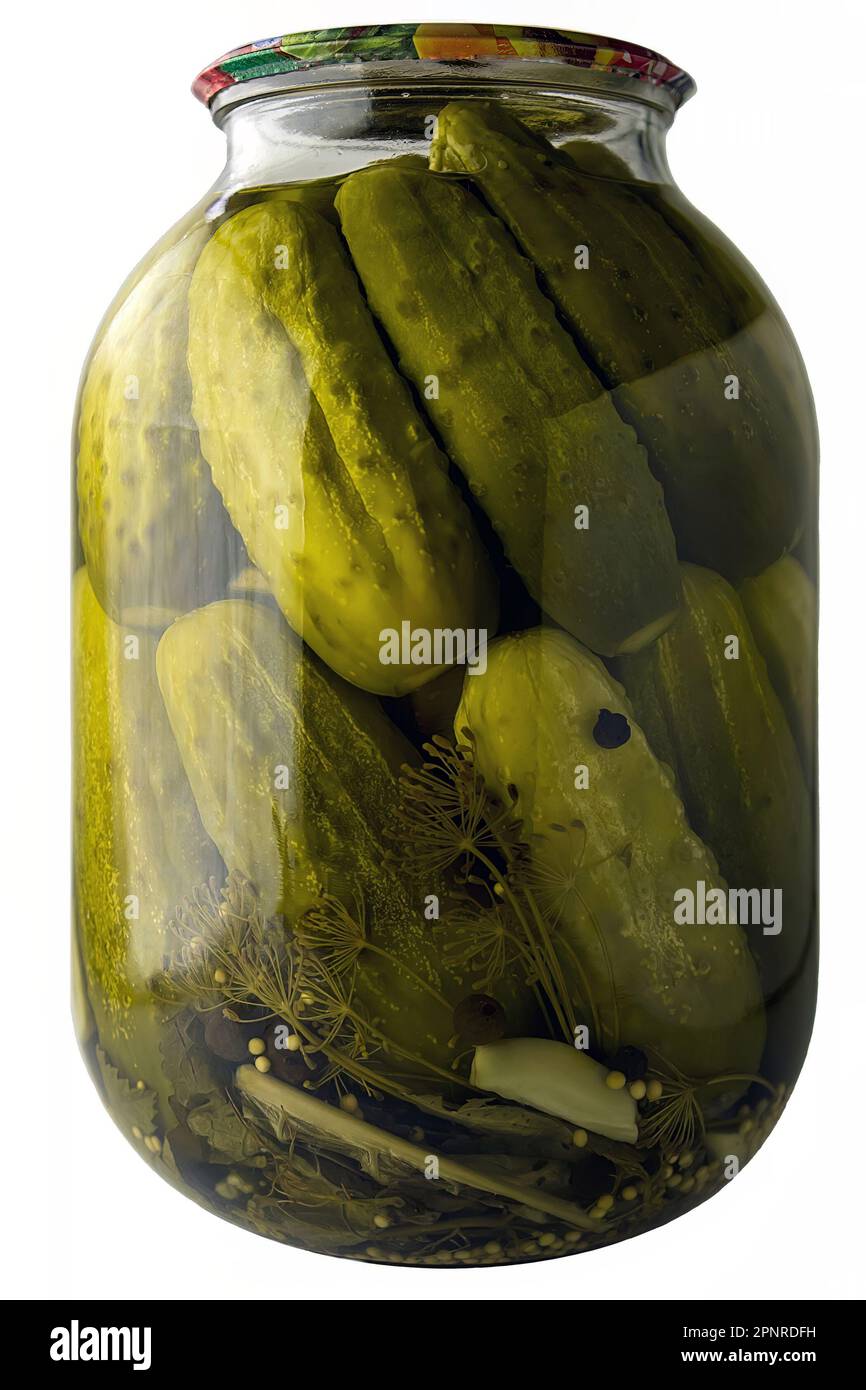 Pickled cucumbers in a jar with garlic, dill, mustard, pepper, oak