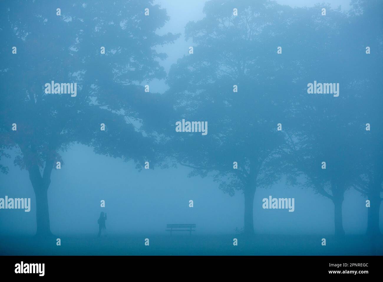 A dense fog wraps a park in Ilford, East London, in the morning. Stock Photo