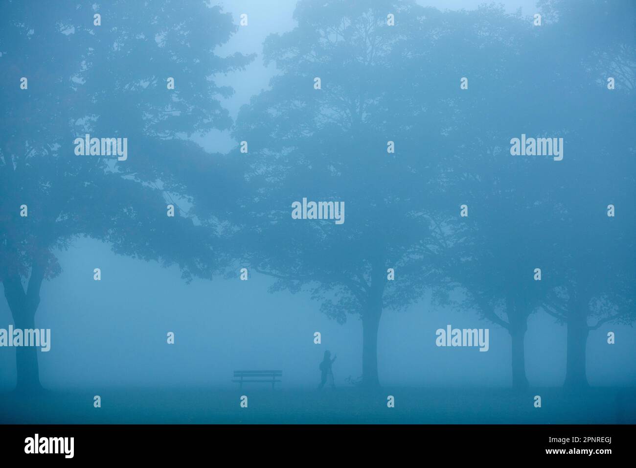 A dense fog wraps a park in Ilford, East London, in the morning. Stock Photo