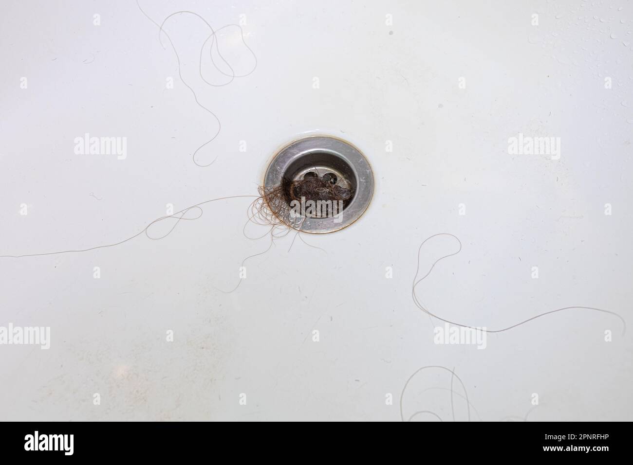 Hair bunch in bath drain. Hair loss after shower and washing head skin