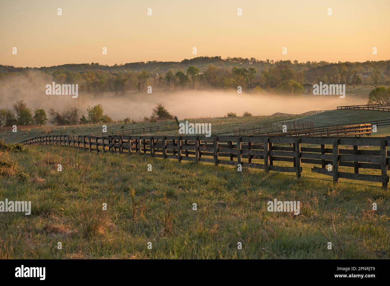 United States April, 15 2023 Fog lifts off of a farm pond along