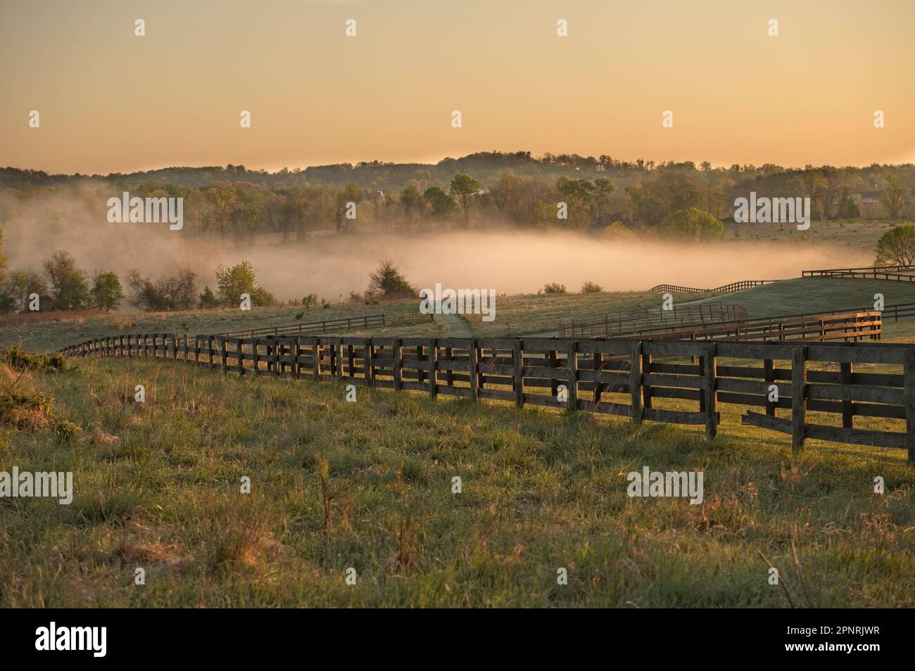 United States April, 15 2023 Fog lifts off of a farm pond along