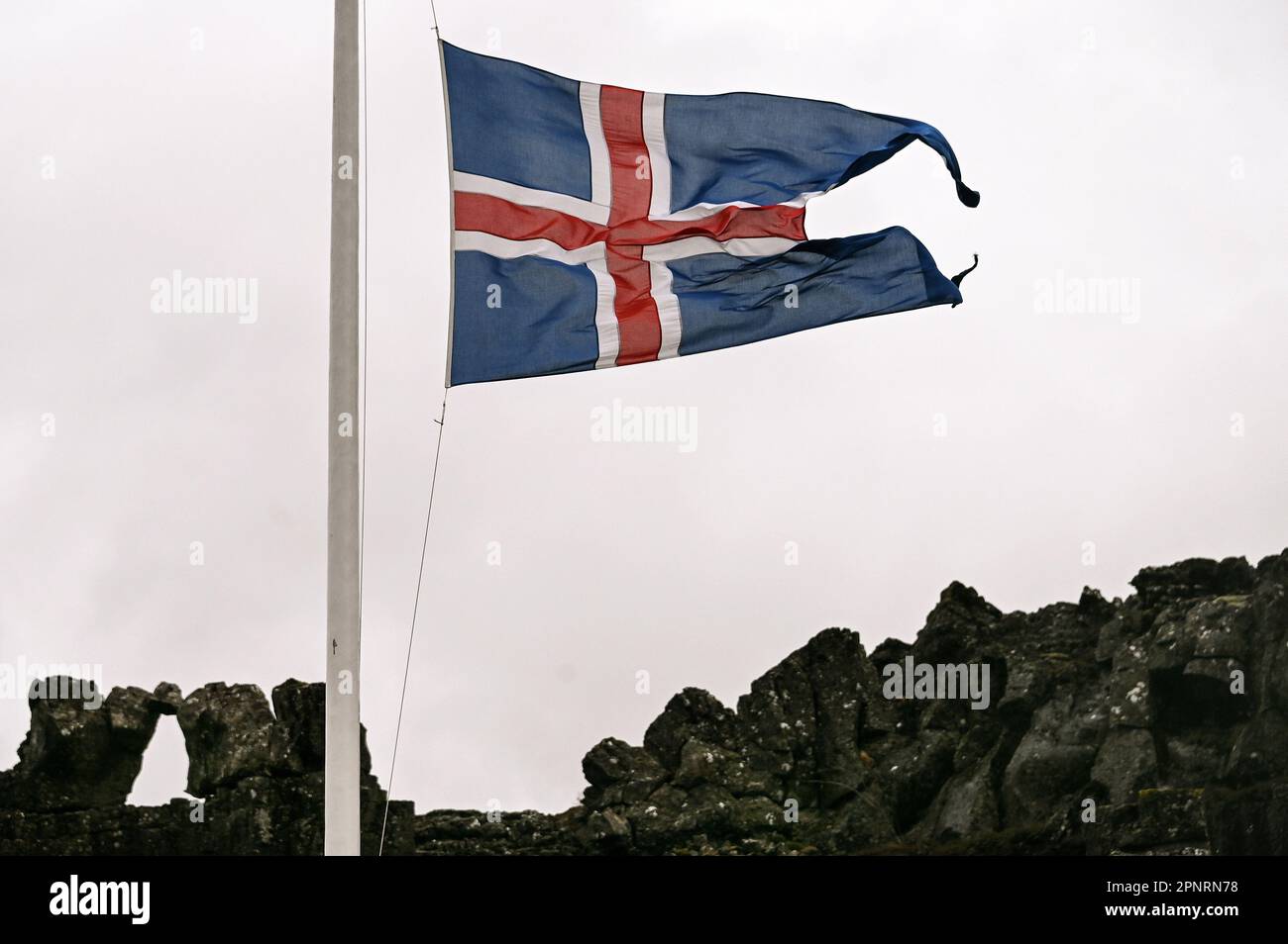 Icelandic flag in Thingvellir National Park, Iceland. Stock Photo