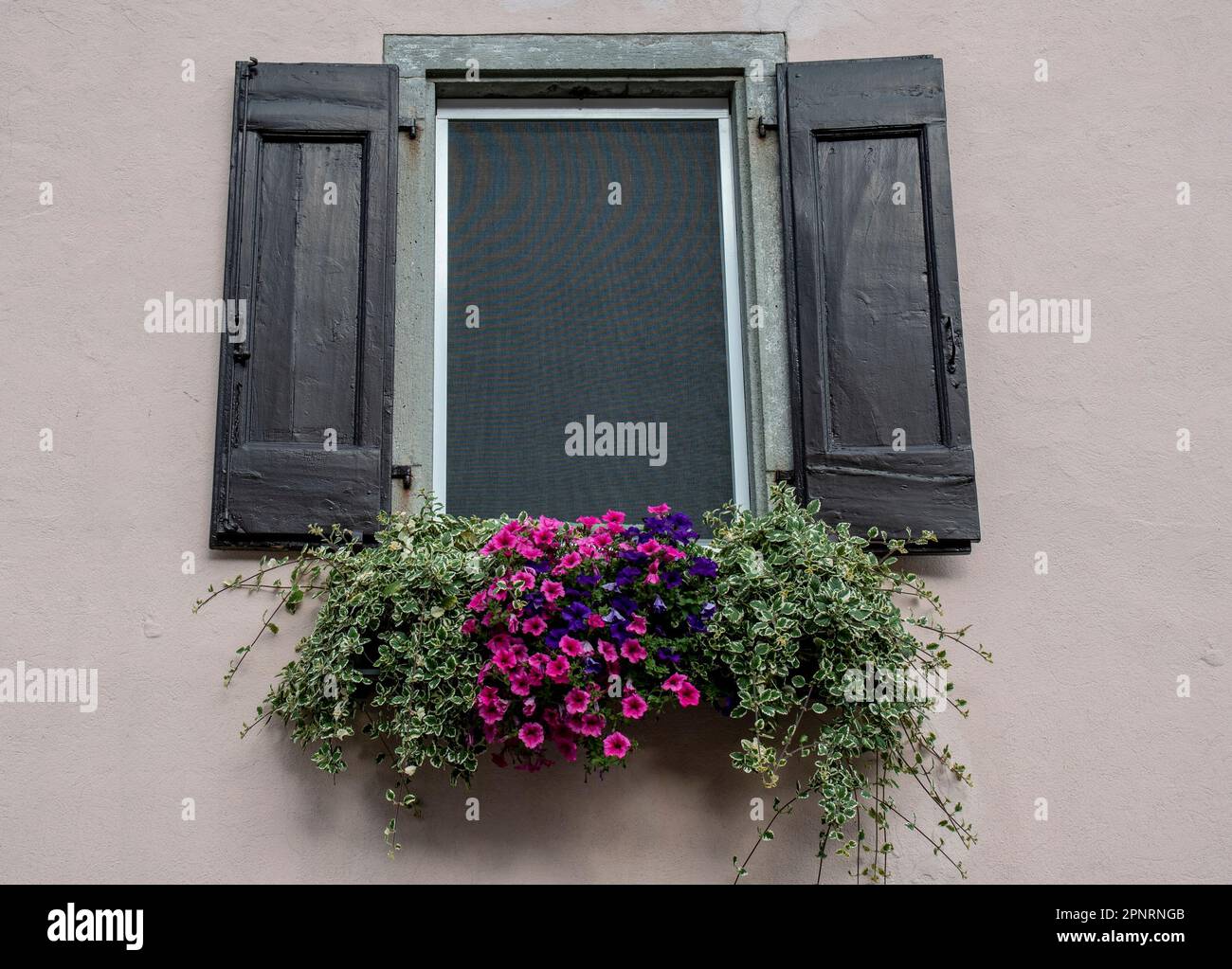 Beautiful floral arrangement outside a house Stock Photo