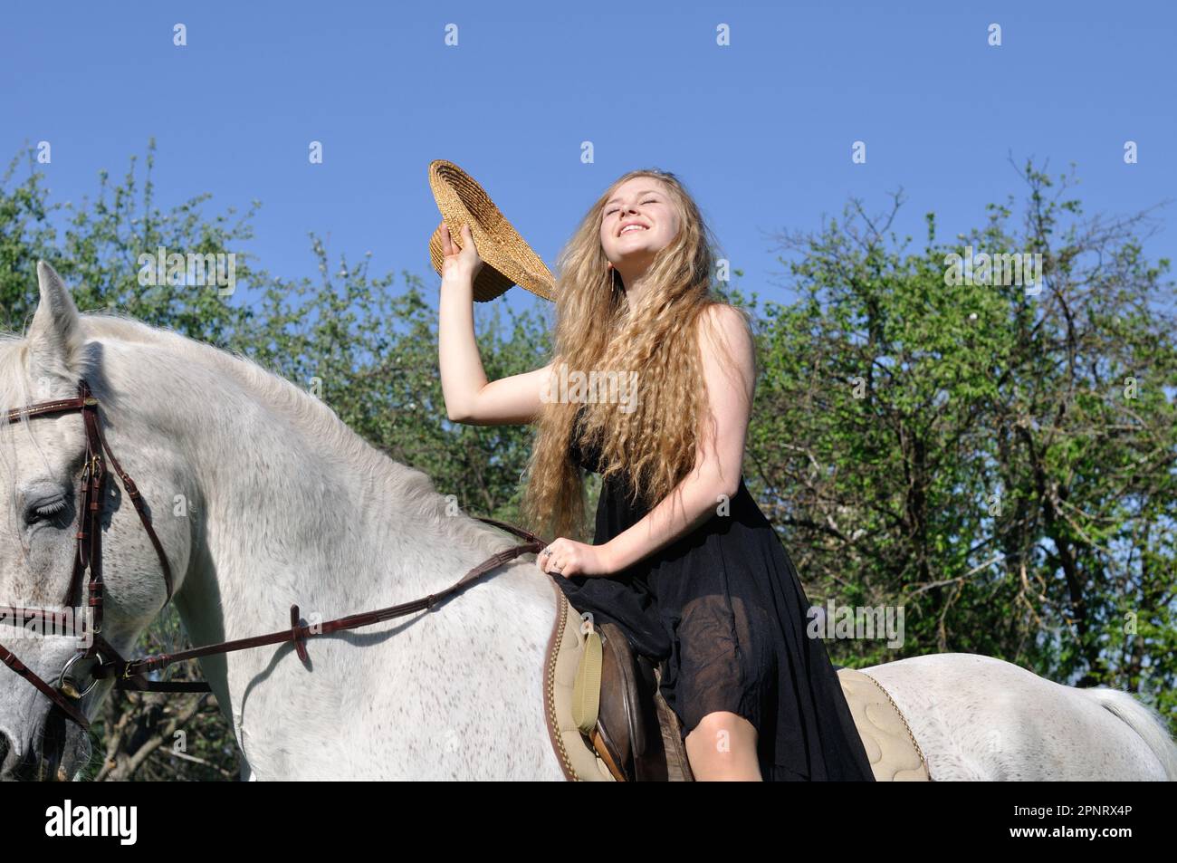 teenage girl with long hair horseback riding in sunny day Stock Photo