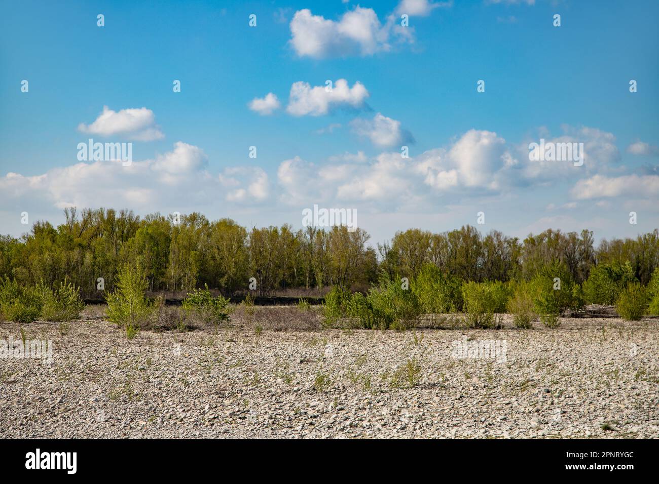 Clouds cloud trees landscape hi-res stock photography and images - Alamy