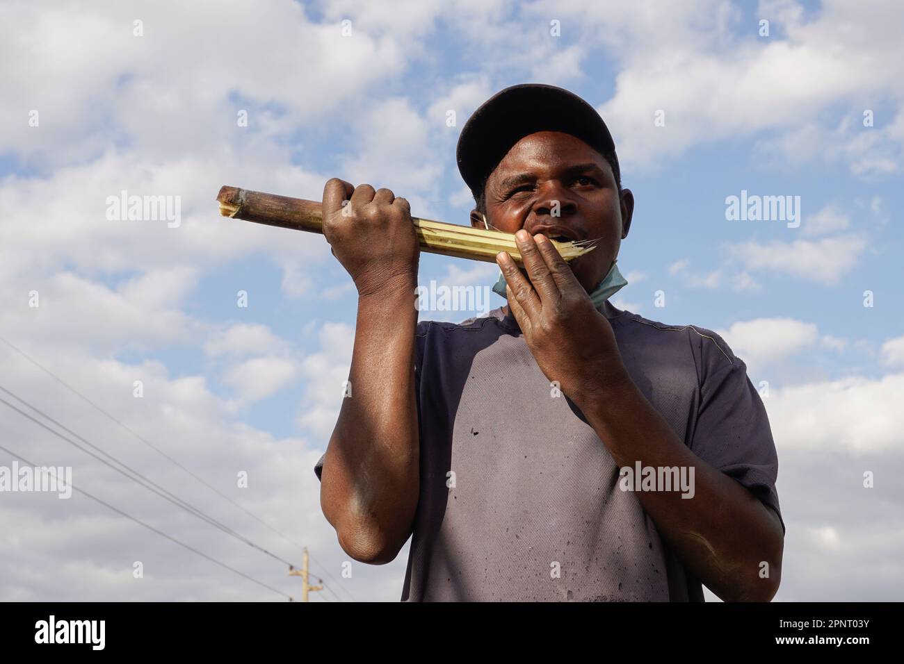 Lovemore Musiyiwa, who sells sugar cane when it’s in season, takes a bite in Westlea, Zimbabwe. Musiyiwa says on a good day he can make $70 from selling the sweet snack. (Gamuchirai Masiyiwa/Global Press Journal) Stock Photo