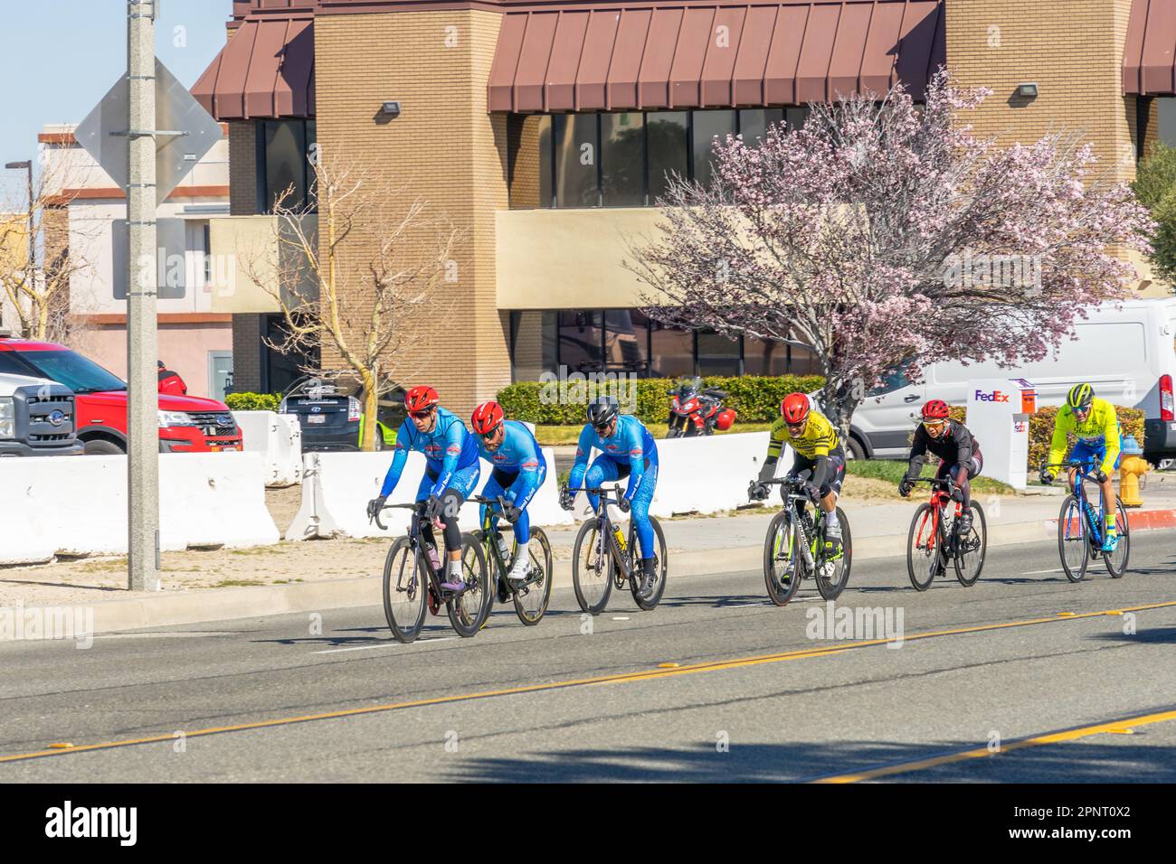 Victorville, CA, USA – March 26, 2023: Group of men’s in a cycling road race held by Majestic Cycling in Victorville, California. Stock Photo