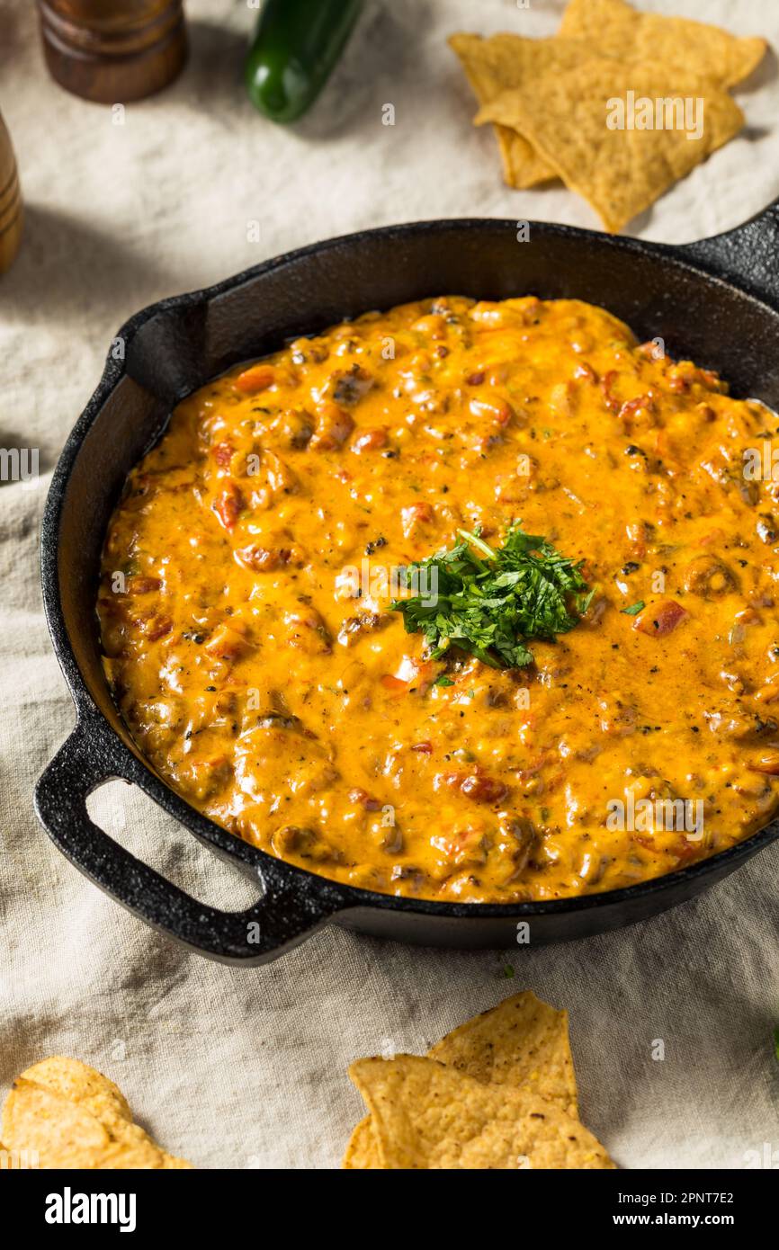 Homemade Smoked Queso Dip with Tortilla Chips Stock Photo Alamy