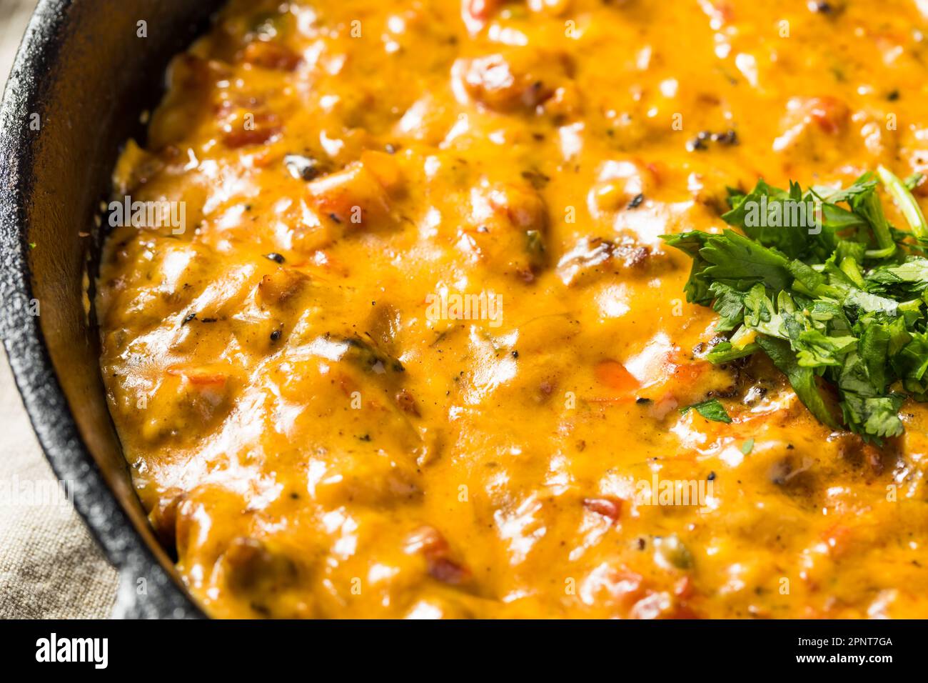 Homemade Smoked Queso Dip with Tortilla Chips Stock Photo Alamy