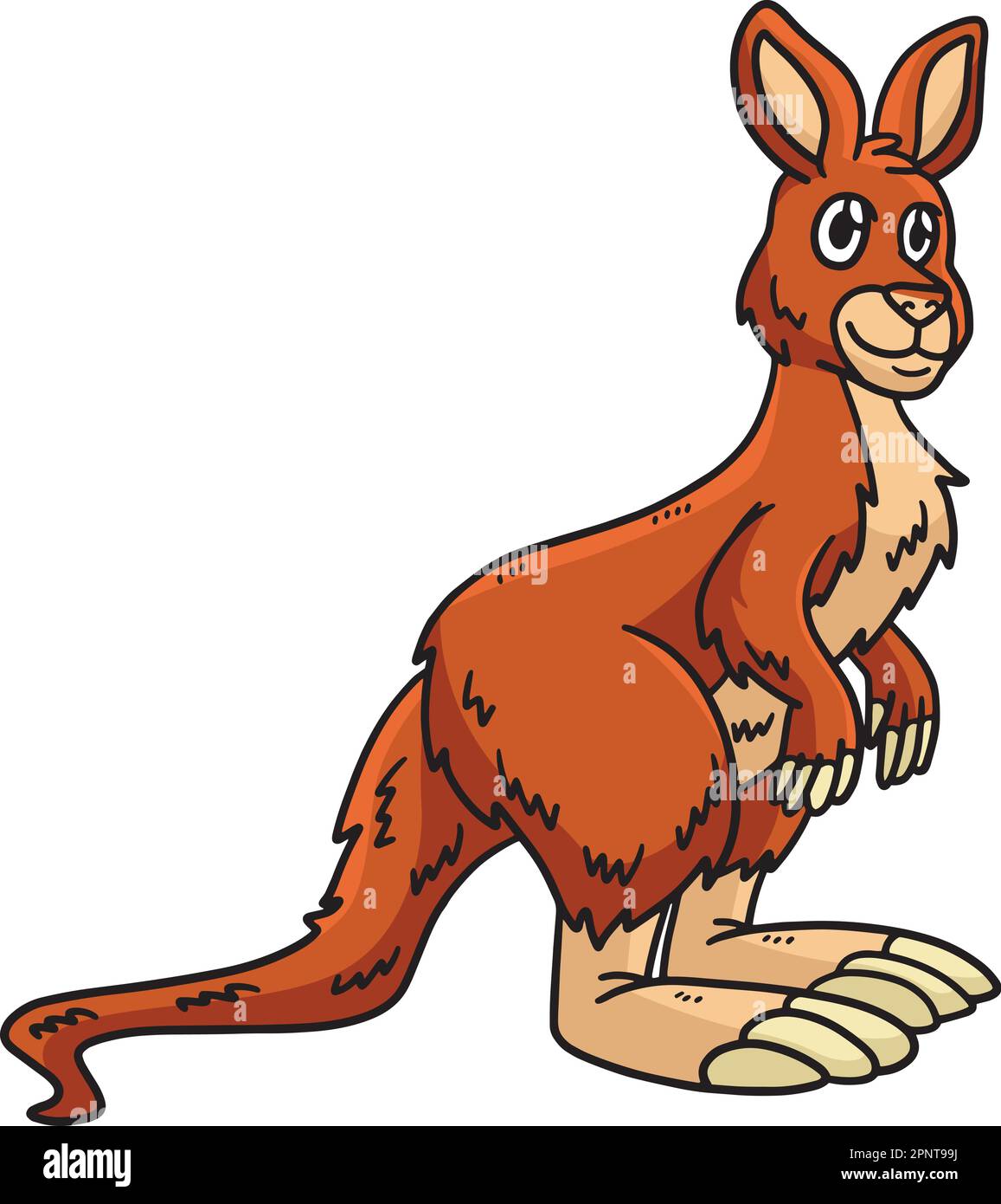 Kangaroo Cartoon Colored Clipart Illustration Stock Vector Image & Art