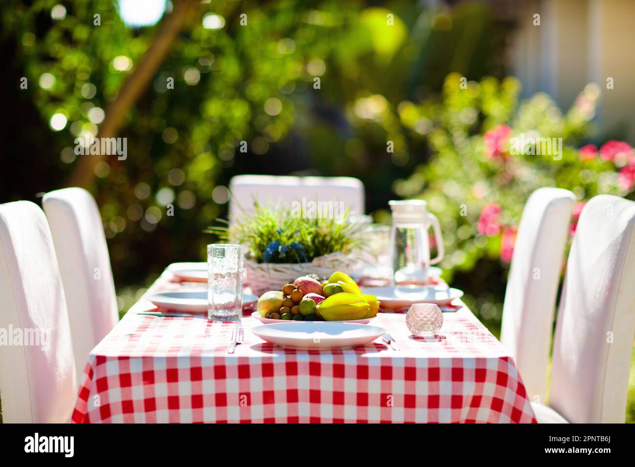 Summer lunch outdoors. Table setting for barbecue party. Garden fun. BBQ in sunny backyard. Party decoration. Fruit and meat for picnic. Stock Photo