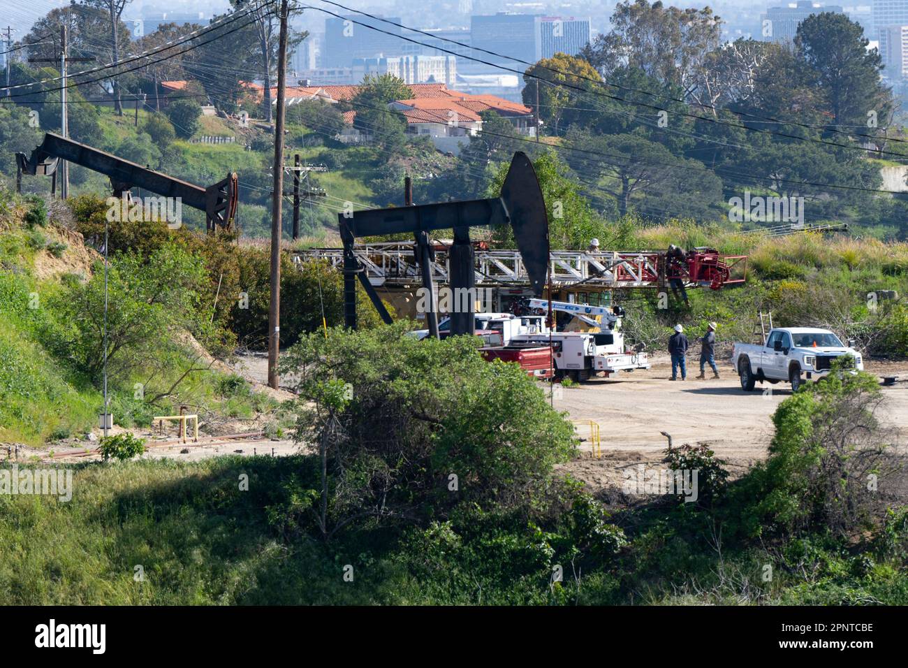 LA: The Biggest Urban Oil Field in the World?