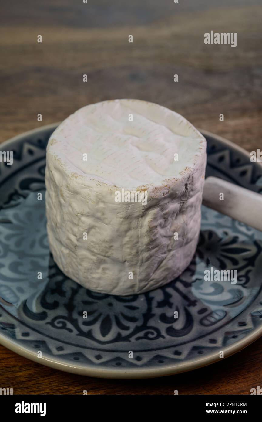 Belgian white mold soft cow milk cheese Bouquet des Moines from Abbey ...