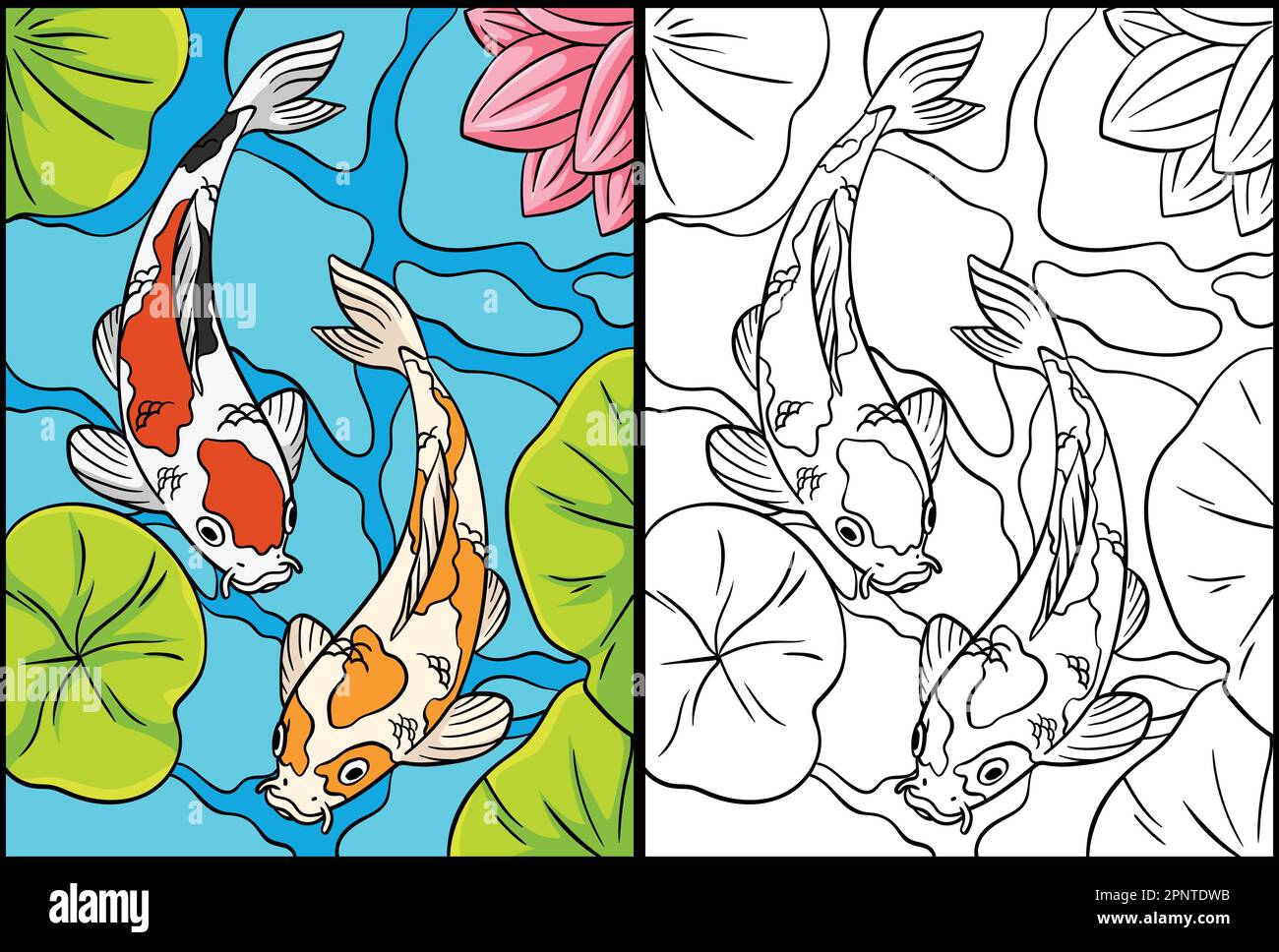 Koi Fish Coloring Page Colored Illustration Stock Vector