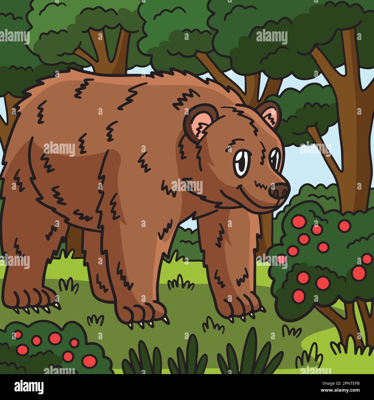 Bear Animal Colored Cartoon Illustration Stock Vector Image & Art - Alamy