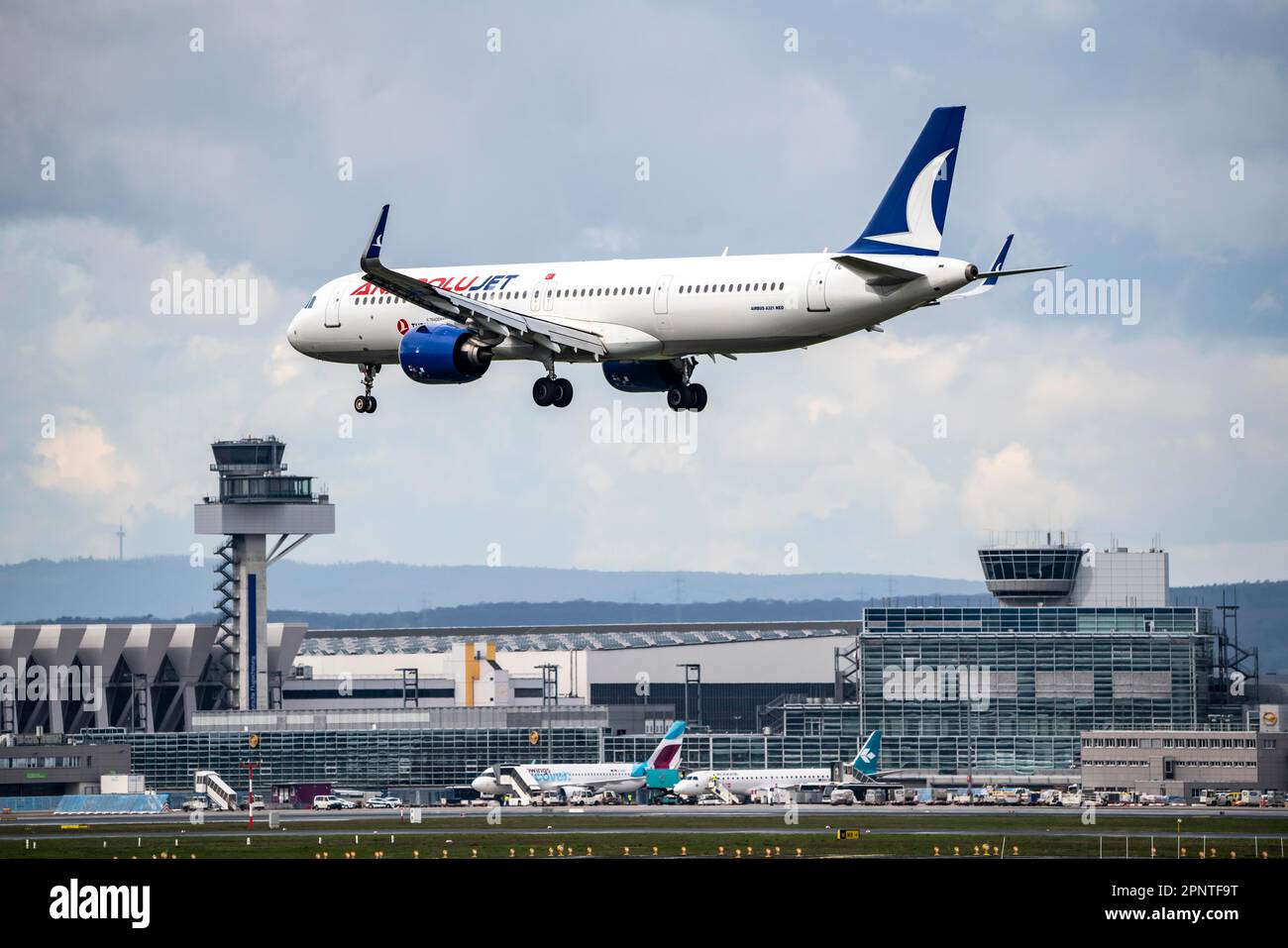 Anadolujet Airbus A321-NEO, approaching Frankfurt Airport, FRA, Hesse, Germany, Stock Photo