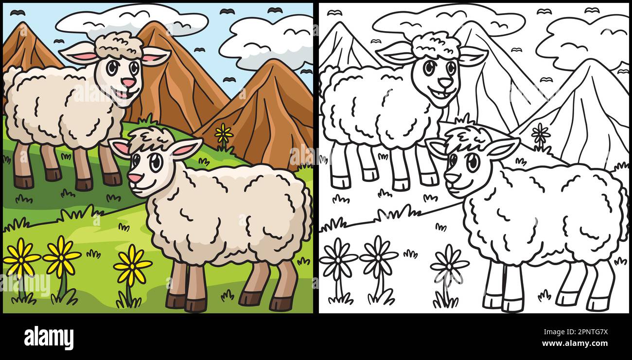 Sheep Coloring Page Colored Illustration Stock Vector Image & Art - Alamy